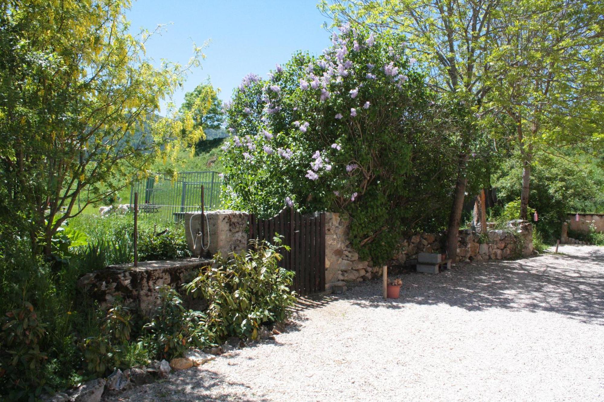 Chateau De Camurac מראה חיצוני תמונה